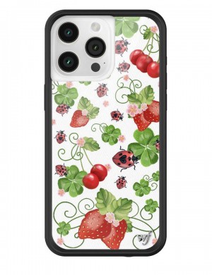 Wildflower Iphone 12 Pro Max Cases Bugs n Berries USA | XZTQ-62975