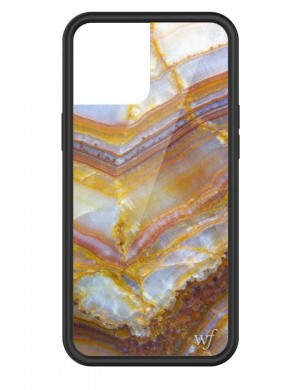 Wildflower Iphone 12 Pro Max Cases Mystic Stone USA | URHD-47956