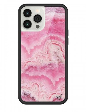 Wildflower Iphone 12 Pro Max Cases Pink Stone USA | RPJS-38046